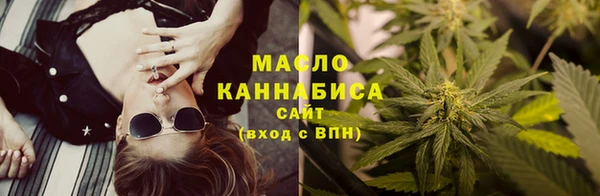 тгк Касимов
